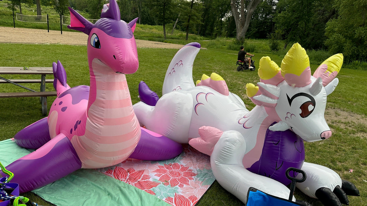 Embracing the Joy of Pool Toy Collecting: A Glimpse into Our Inflatable World