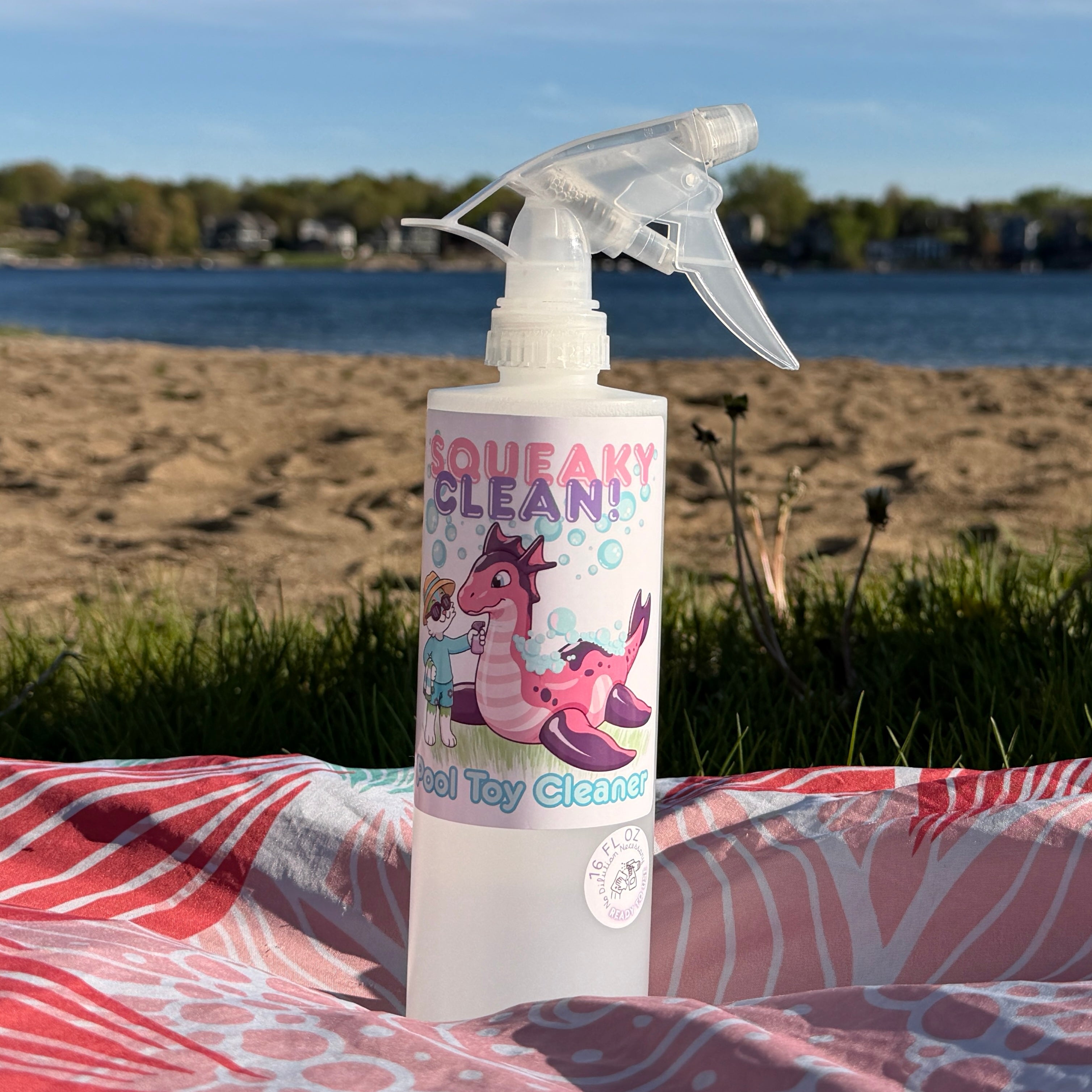 Squeaky Clean Pool Toy Cleaner | Ready to Use Spray